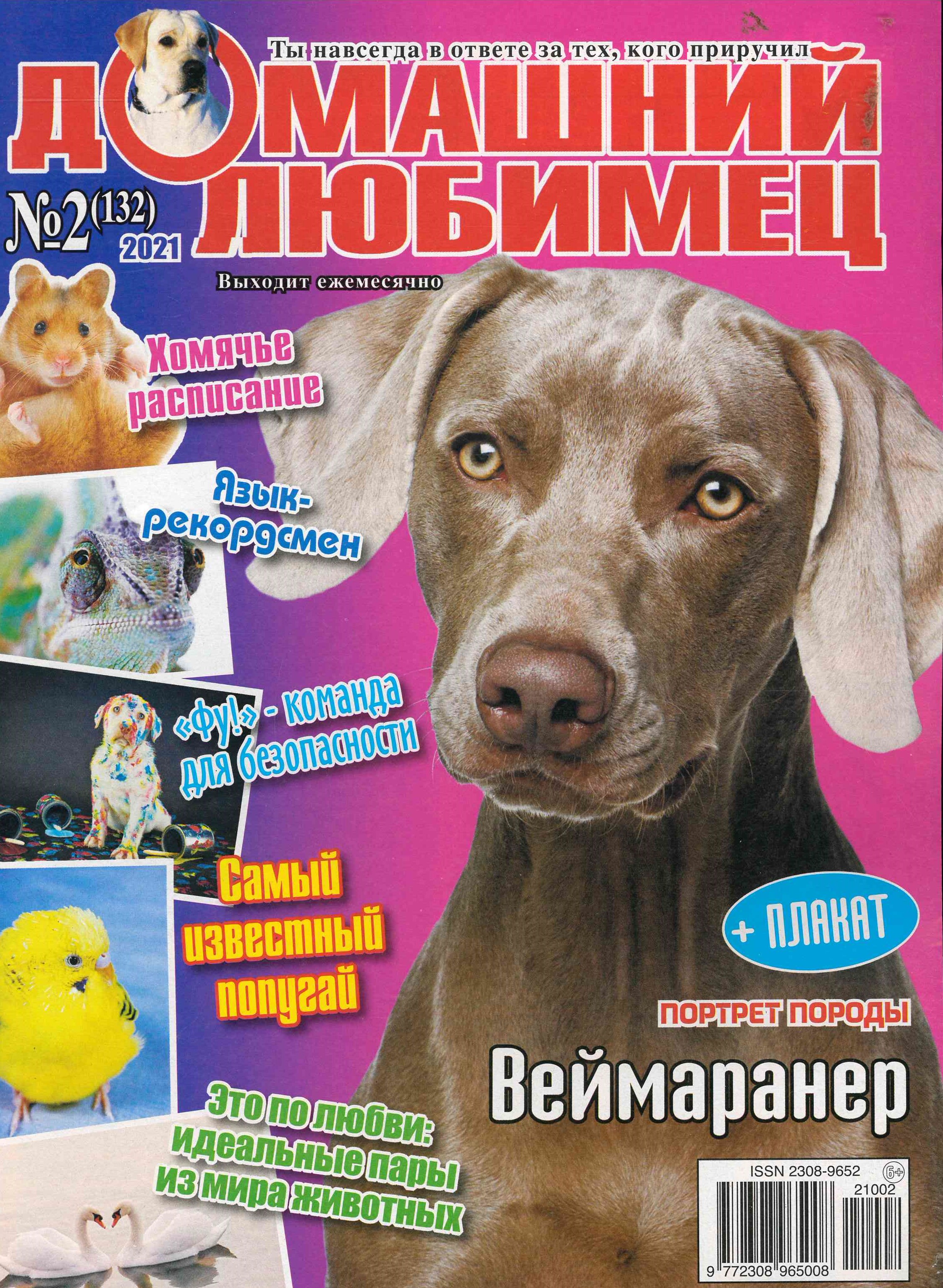 bookCover
