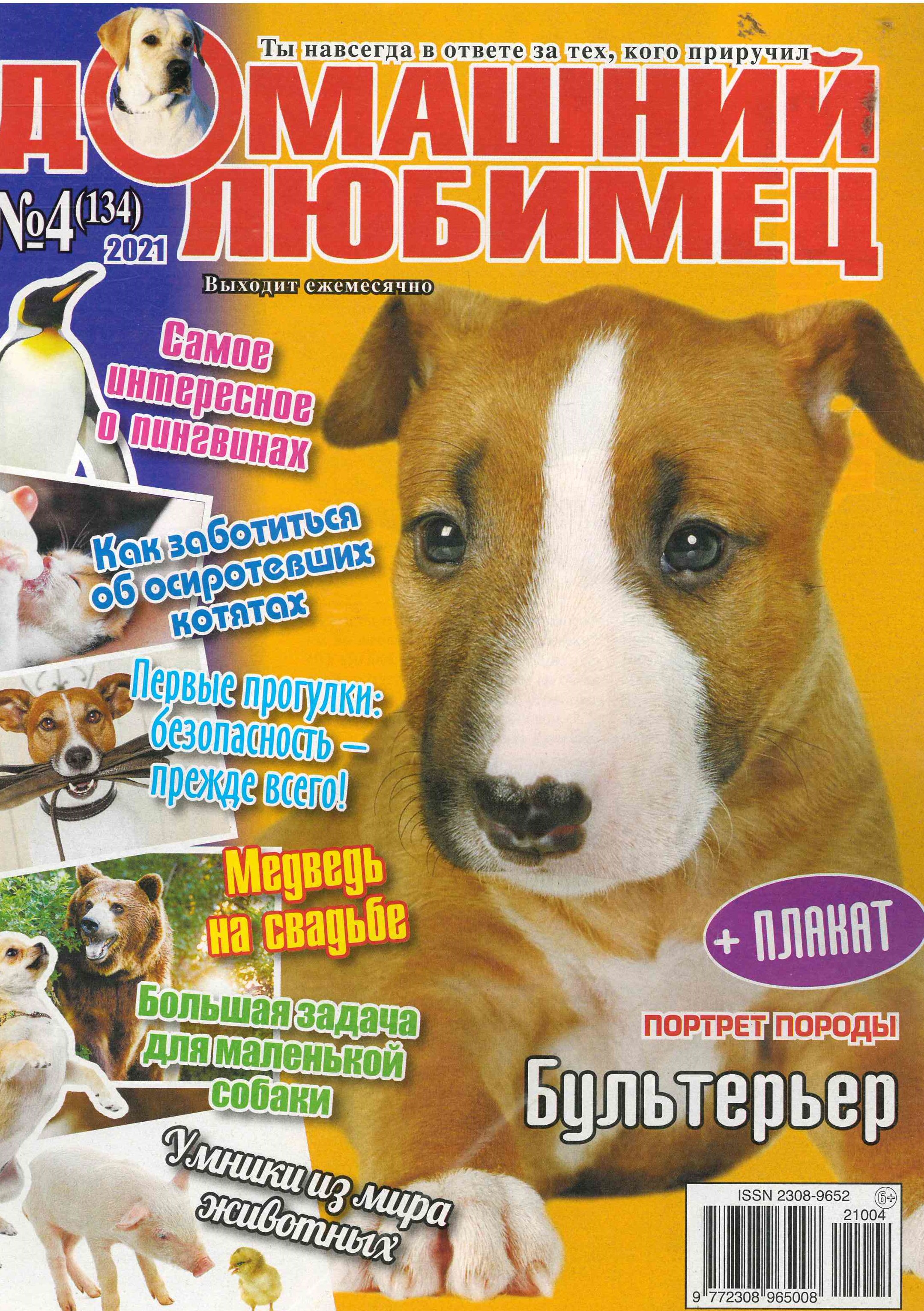 bookCover