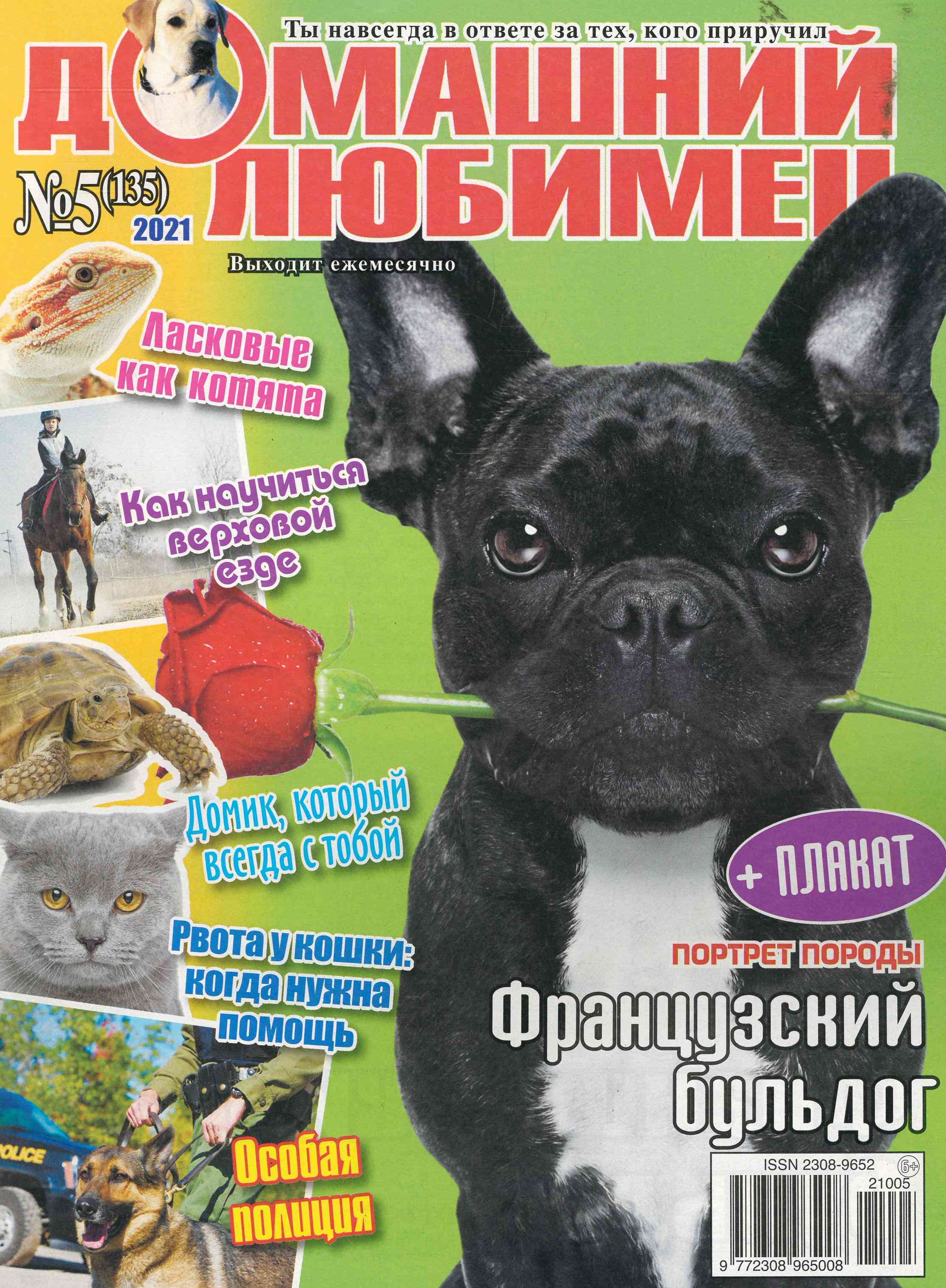 bookCover