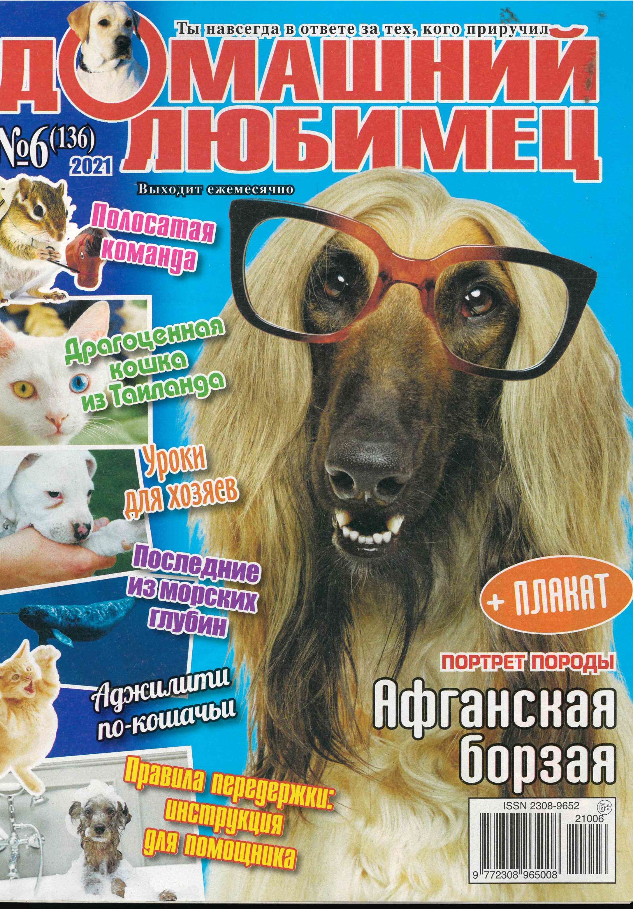 bookCover