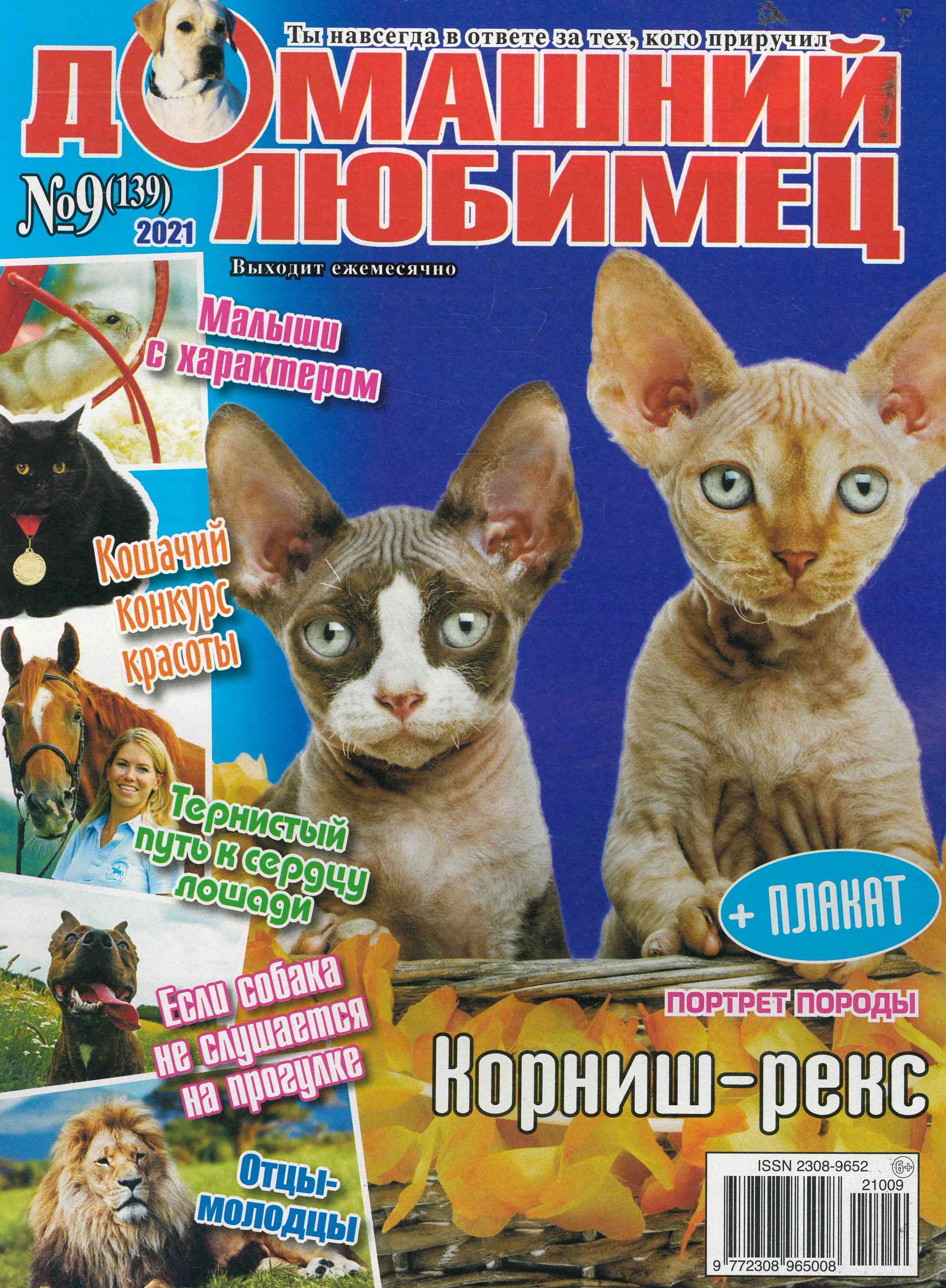 bookCover