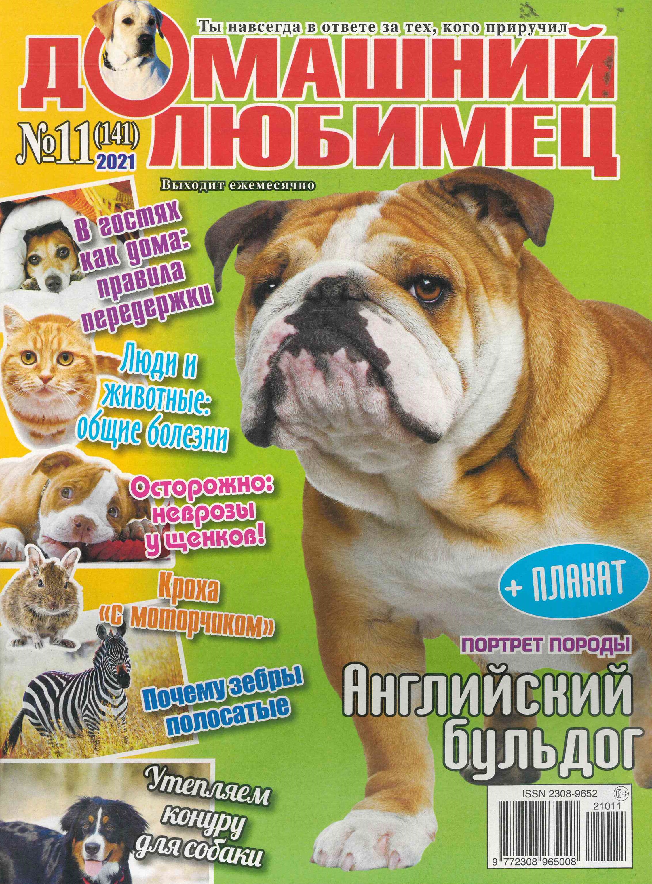 bookCover