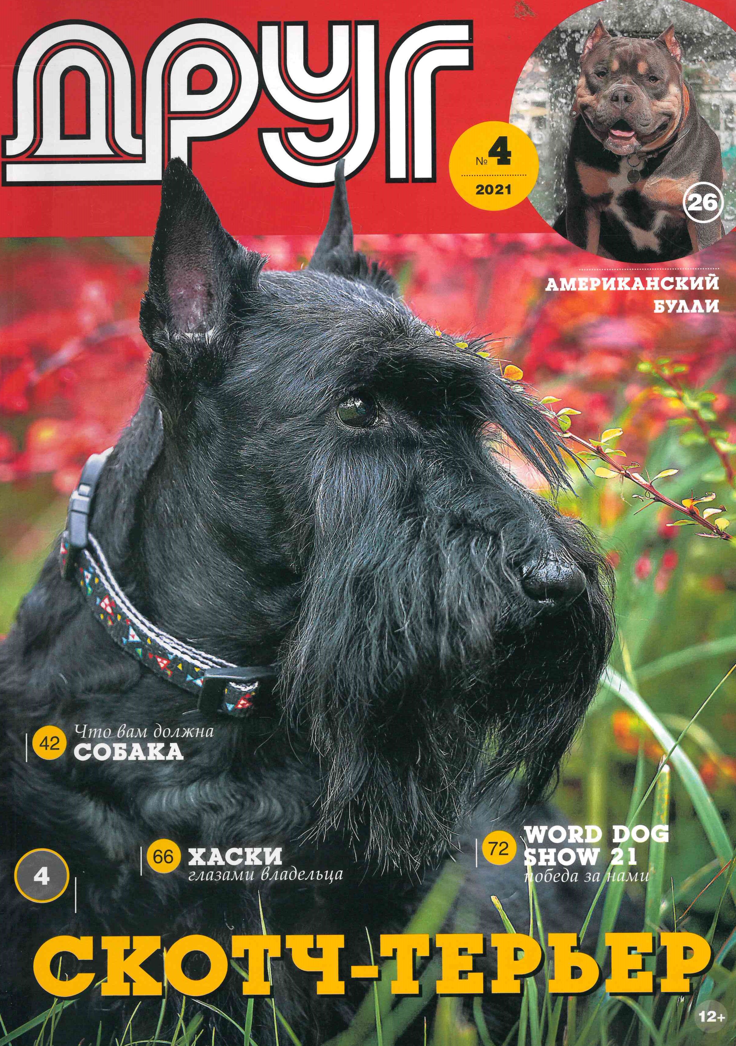 bookCover