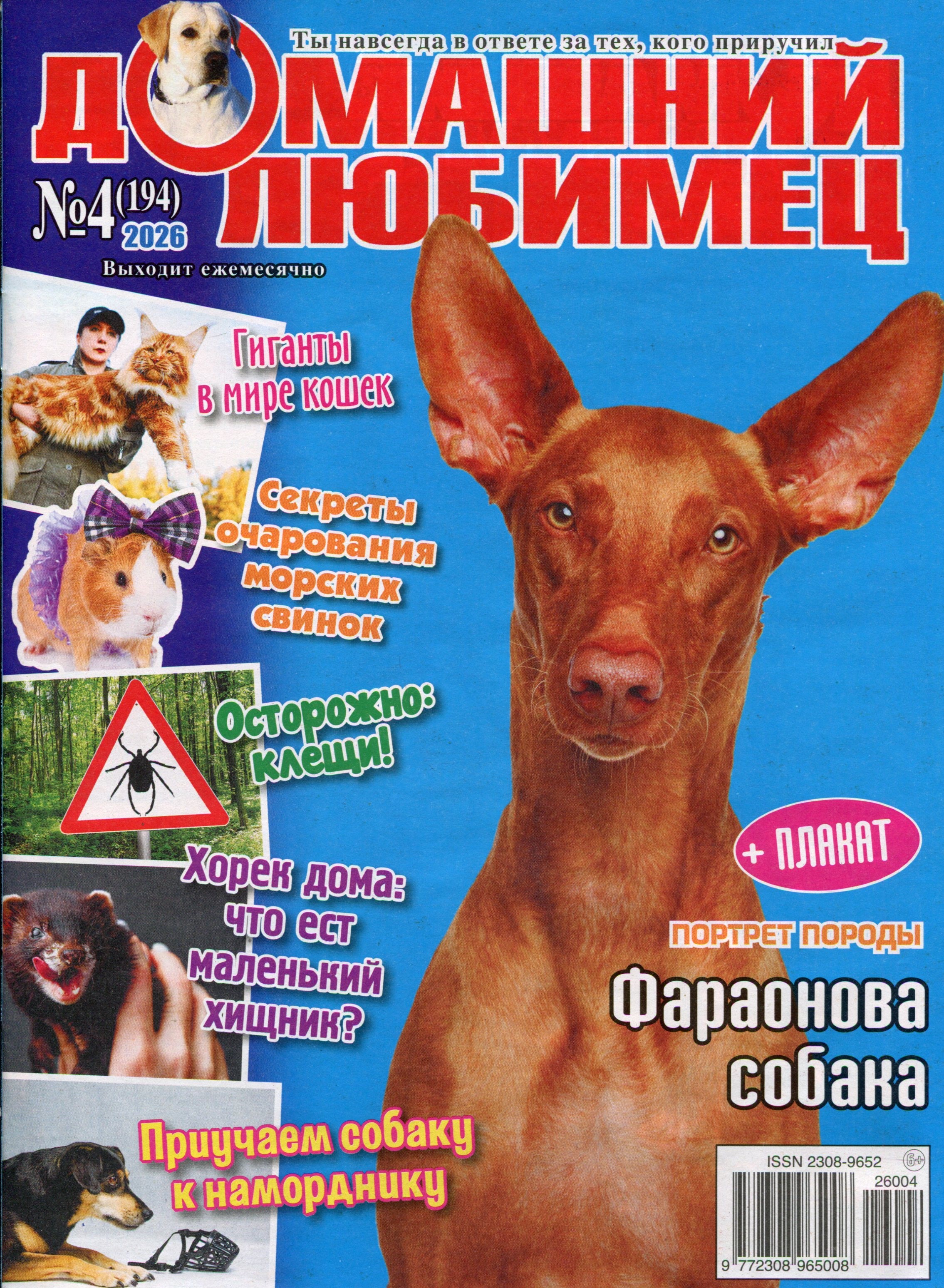 bookCover