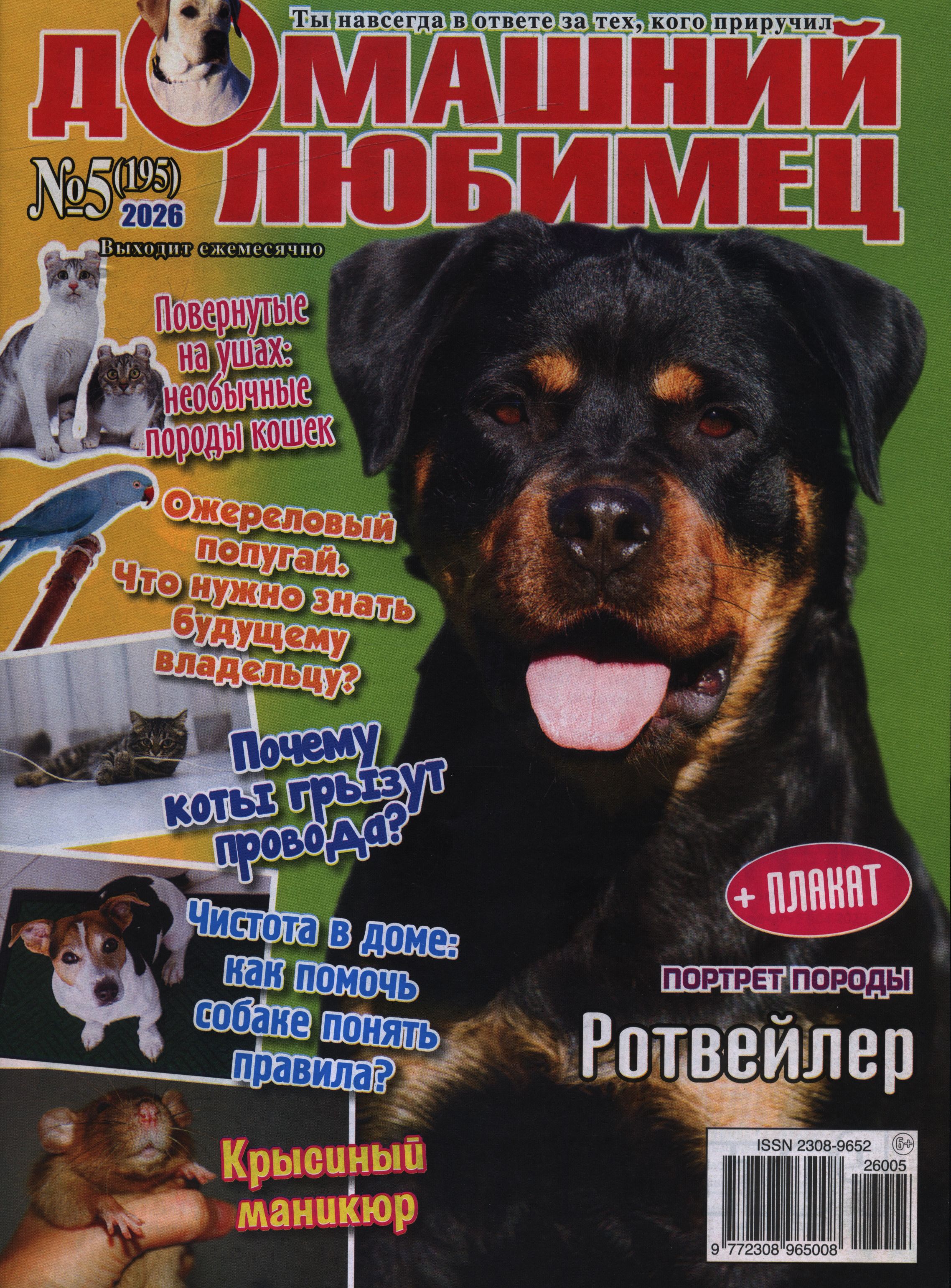 bookCover
