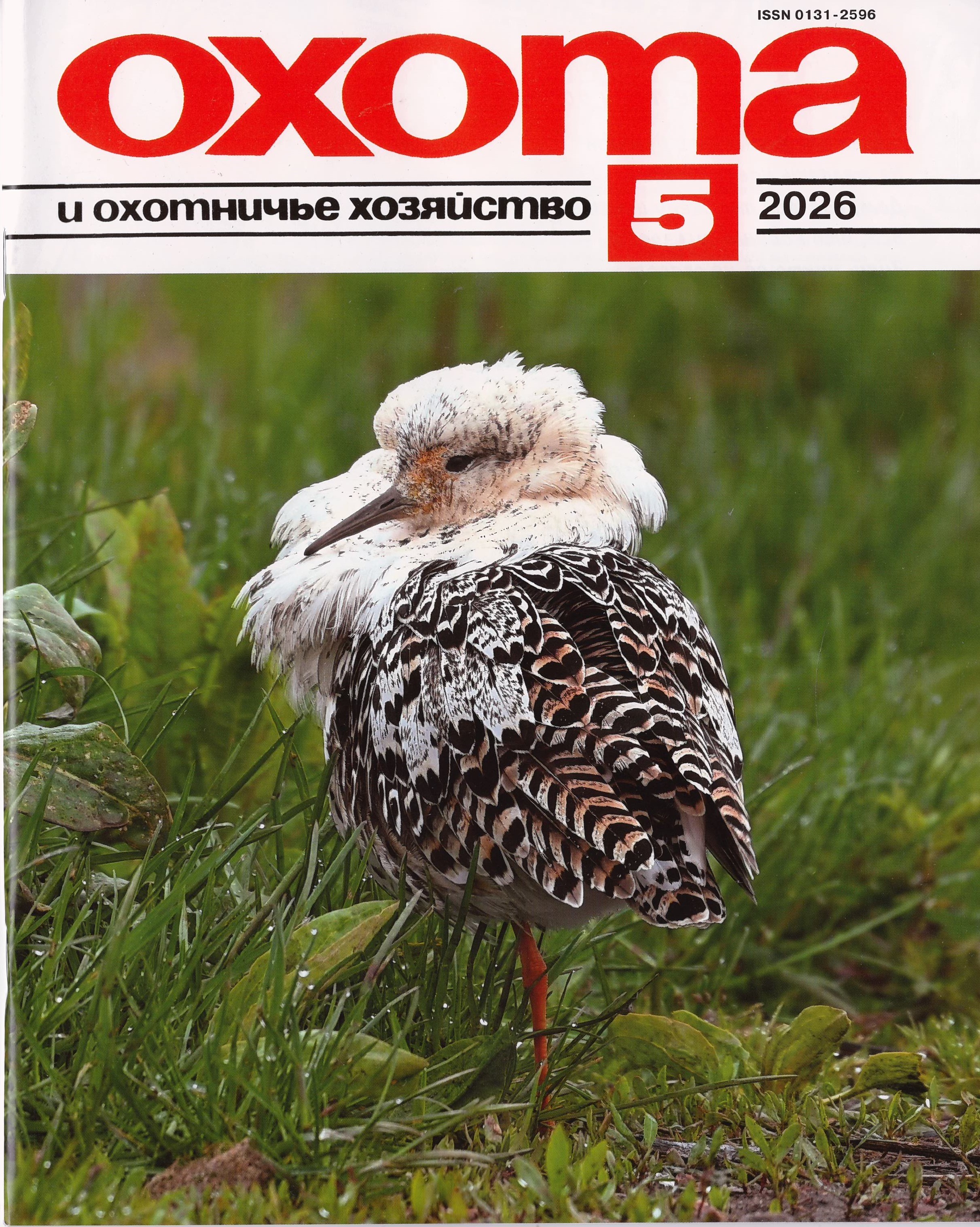 bookCover