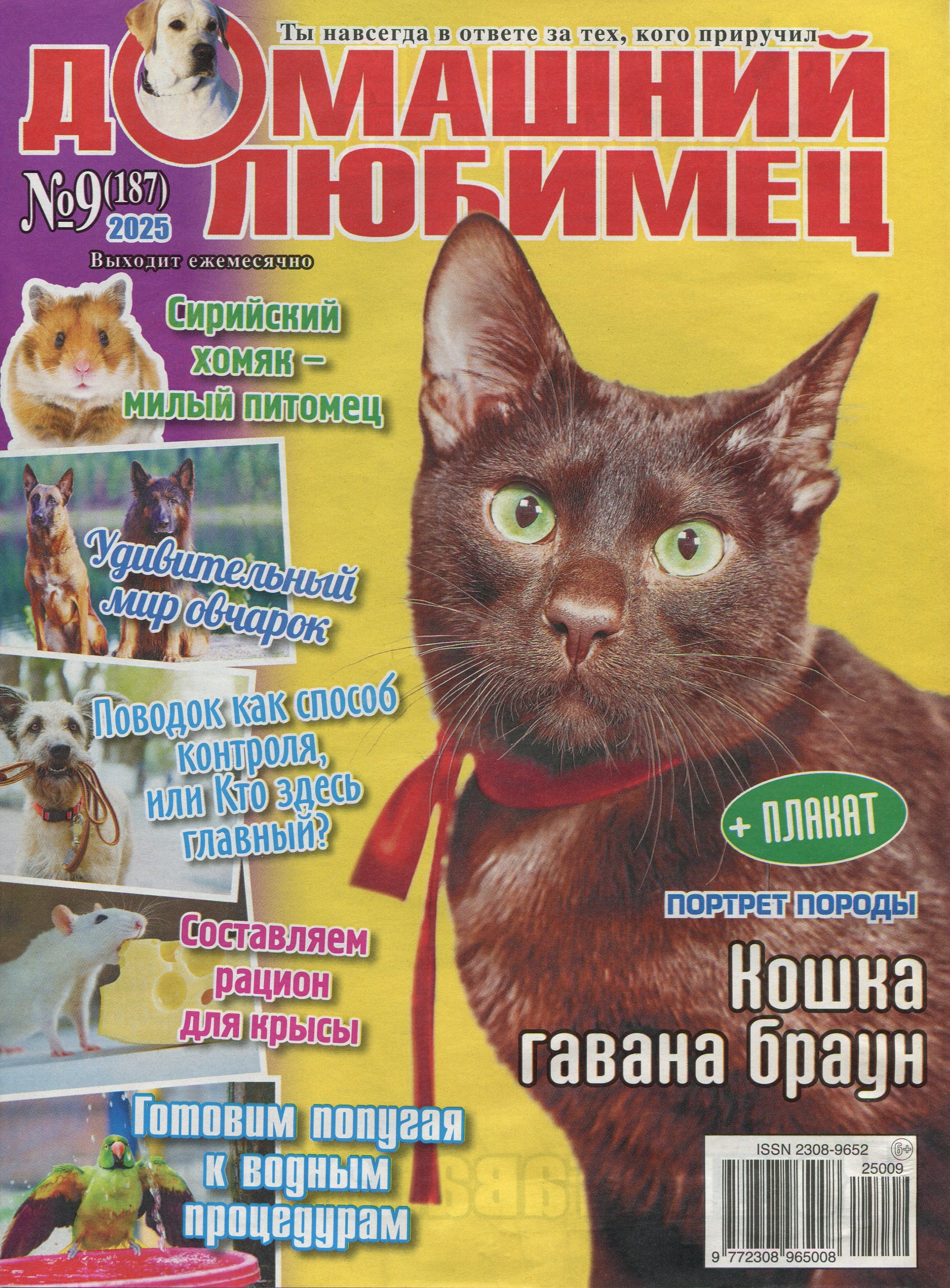 bookCover